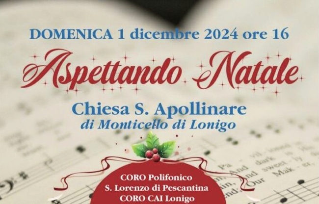 ASPETTANDO NATALE