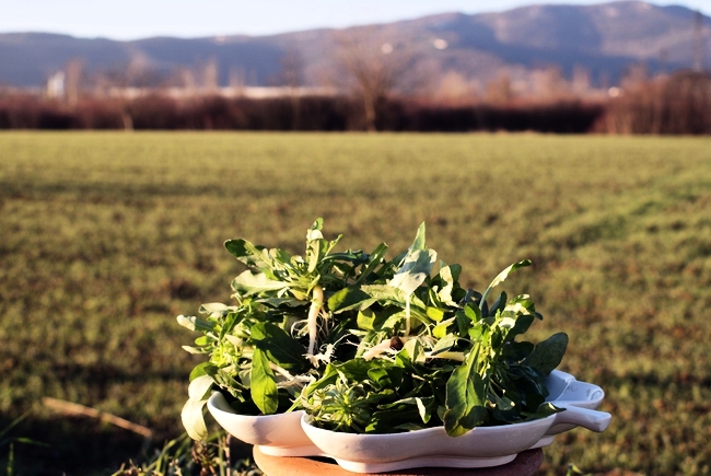 DUE MESI A TUTTO “RANPUSSOLO” SULLA TAVOLA DEI RISTORANTI